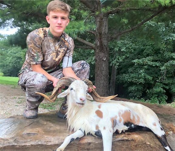 Nice painted ram for this young hunter! #TN #WildernessHuntingLodge #FinandField