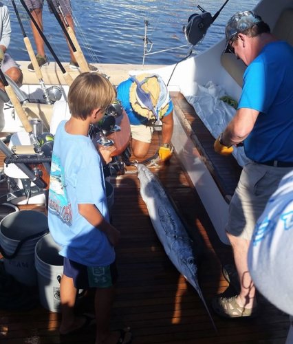 #WMO | #FinandField | #OCMD | #Fishing | #Marlin