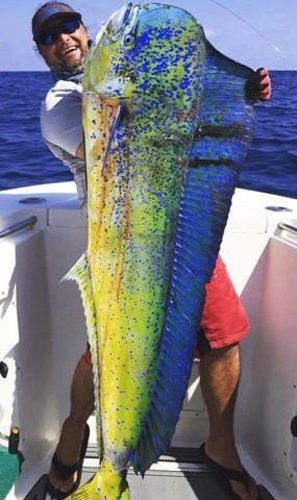 Get hooked up with Outcast Sportfishing Charters from our BlacktipH Series at www.finandfield.com/series/blacktiph-series.

#Fishing | #Adventure | #BlacktipH | #FinandField