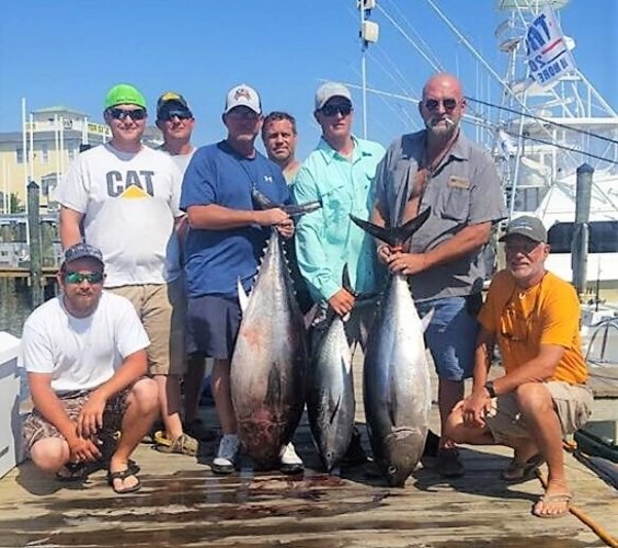 3 fatties for Game Changer Sportfishing! #BookATrip #GoFishing #FinandField #GameChanger #Sportfishing #OCMD #OCFC