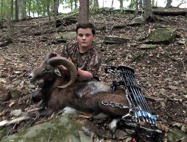 Nice ram for this young bow hunter! #Youth #Hunting #Bow #FinandField #WildernessHuntingLodge #TN