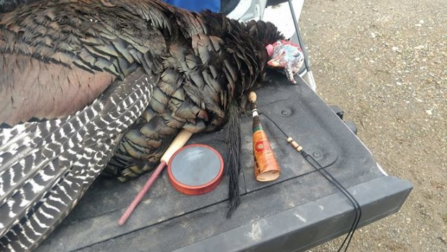 Don's Turkey. Dinner Bell Game Calls, and  Uncle Pete's Wingbone Calls