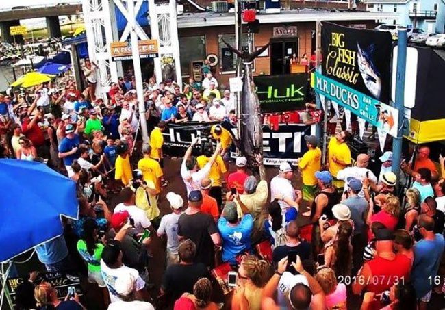 Biggest fish wins in the Huk Big Fish Classic! Some of the best boats from MD, VA, NJ, & beyond are already signed up. Captains meeting is Thursday with fishing Friday - Sunday. Scales open daily down at M.R. Ducks. 

#BFC2017 | #Huk | #FinandField | #OceanCity | #Maryland | #TalbotStreet