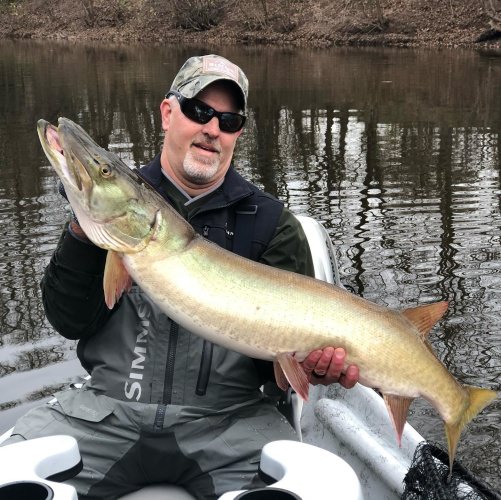 Musky mission completed. Not only did we land this beauty, we also had two more follows and saw a total of 8 musky today. Awesome day! #sageflyfish #rioproducts #hydedriftboats #susqguide