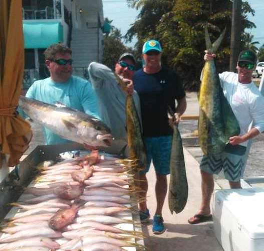 Book a trip with 5 STAR Sportfishing Charters so you can get in on some of this action! Call Capt. Brandon today - 877-258-4316. #BookATrip #Fishing #Adventure #5STAR #FinandField