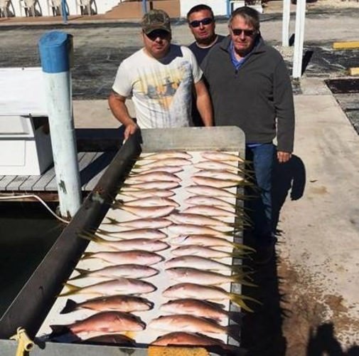 Lunch Islamorada style! Would you consider this a successful outing? Give Capt. Brandon - 5 STAR Sportfishing Charters a call 877-258-4316. #5STAR #Islamorada #Florida #Fishing #FinandField
