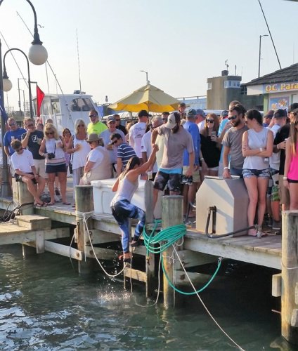 Lovin Life's lady angler also took a swim after her 1st White Marlin. #BFC