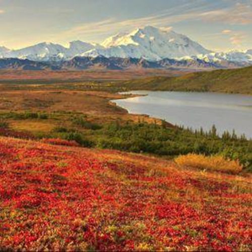 Would you hunt here? Barela's Alaskan Outfitters​ offers true Alaskan safaris for trophy moose, mountain goat, brown bear, and black bear. Start planning now for a once in a lifetime adventure! 855-504-6603

http://bit.ly/2kiJwTf 

#AlaskaHunting | #DreamHunt | #Adventure | #FinAndField