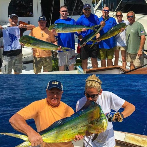 Rhonda Osprey & Capt. Joe are back in West Palm Beach and ready to take you fishing! Trips start at $750. Visit www.finandfield.com to book your fishing adventure.

#RhondasOsprey | #SailfishMarina | #Florida | #FinandField