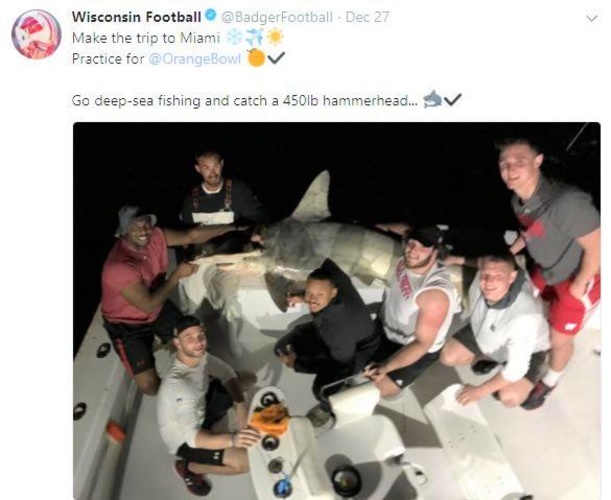 Fishing and Football! Wisconsin Badgers football players when on fishing adventure and landed a 450# hammerhead shark before their Capital One Orange Bowl match up with Miami Hurricanes Football. 

#Fishing | #Florida | #Shark | #Adventure |  #CollegeFootball | #Canes | #Badgers | #FinandField
