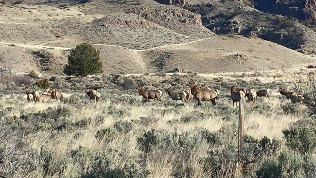 Hello Wyoming! Awesome state for #Hunting and #Fishing. Adventure is calling and Fin & Field has plenty of #Wyoming partners. Search for Guides & Outfitters at www.FinandField.com. #GoWest #Adventure #FinandField