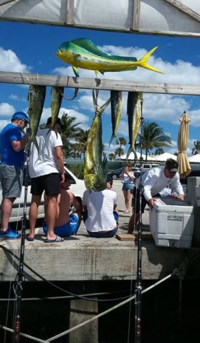 Great trip!!
Still have openings this week. 
Book your trip now!
(954) 522-4773
www.fishlocalknowledge.com