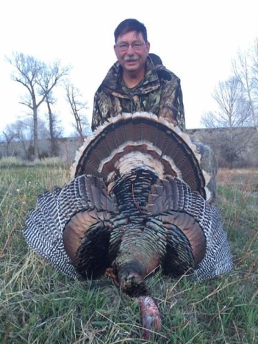 Where else, besides Wood River Ranch, can you hunt wild Merriam Turkey, catch giant cutthroat, and eat gourmet meals in a luxurious lodge? Your Wyoming getaway awaits...844-345-1036

http://bit.ly/2qeSR44

Papa's Pilar | #PapaWouldBeProud | #Fishing | #Hunting | #Adventure