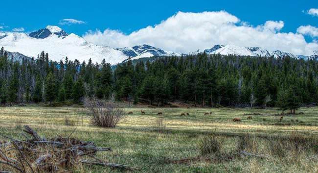 How many do you see? #GoWest #Hunting #Adventure #FinandField