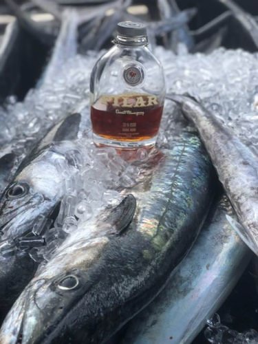 On the Rocks! Hard to beat Papa's Pilar and fresh fish. #Fishing #Rum #Adventure #PapasPilar #FinandField