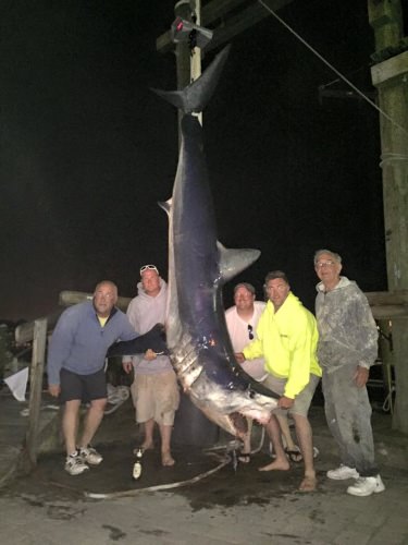 Mega Mako 820lb! #Fishing #Mako #SouthJersey #NJ #FinandField