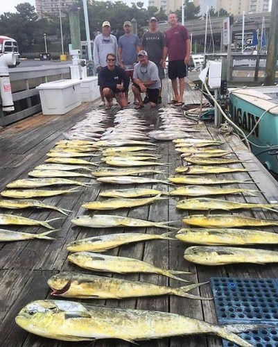 Rebel Sportfishing shows the meaning of "A Dock Full".
#Fishing #VaBeach #FinandField