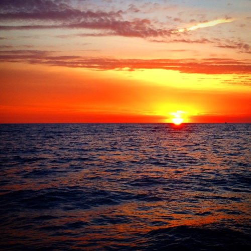 Good Morning Fin & Field Sportsman! Sign Up and BOOK trips today. Thanks to SWORDFISH SPORTFISHING for sharing this spectacular sunrise. #Fishing #OregonInlet #Tuna #FinandField