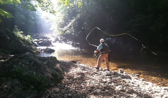 Asheville Fly Fishing Company will start guide trips again June 1st.
#FlyFishing #Asheville #Trout #FinandField