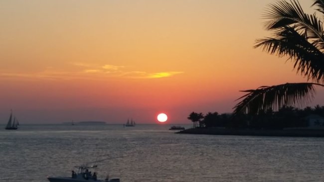 Bluewater Movements, Inc. Final Sail is next week. Will we see you at the scales?

#FinalSail | #Fishing | #KeyWest | #BluewaterMovements | #FinandField