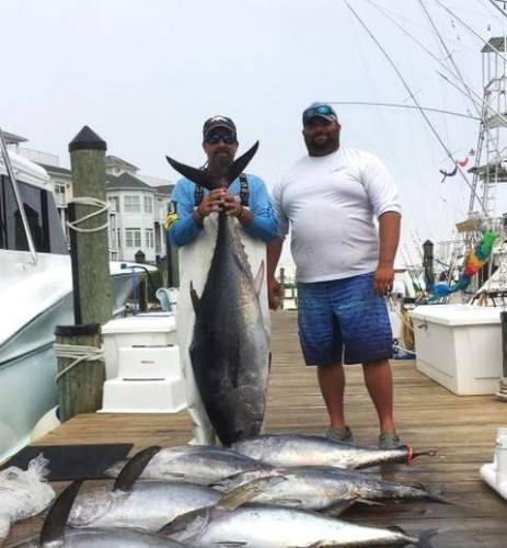 Great chance to get in on tournament action! Capt. Brandon Speilman - 5 STAR Sportfishing Charters 64 foot Reel Direct has a rare opening for the 30th Annual Ocean City Tuna Tournament
July 14-16, 2017. Contact us for details.

#Tuna | #Fishing | #Tournament | #OCMD | #5Star | #ReelDirect | #FinandField