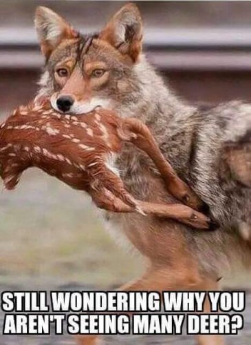 Smoke a yote or 10!!
#racknine