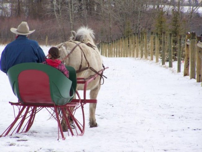 Plan ahead for a romantic sleigh ride around Valentine's Day! We have openings on Feb. 12 and 13! 

Take a romantic ride with your sweetheart in a one-horse open sleigh. Pulled by our beautiful Norwegian fjord horse, it's just the two of you in a historic romantic ride for half an hour over the fields, along the river and through the woods. ❤❤

Reserve a slot at https://bit.ly/34yg2cK.