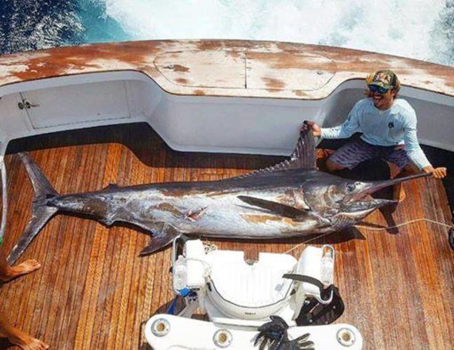 Congrats to Croft Upchurch on his 1st Blue Marlin at the Huk Big Fish Classic. #BucketList #Marlin #BFC #OCMD #FinandField