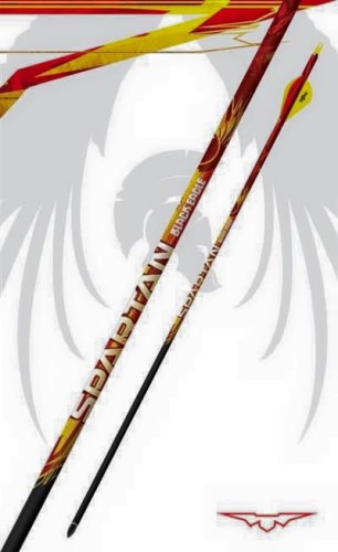 Black Eagle Arrows
Bow hunting has evolved over the last decade and is extremely high tech. Hunting with a bow is more fun now than ever so that means you need arrows that perform at very high levels of you want to be successful. Black Eagle Arrows has an arrow or bolt made for your specific requirements in the field or on the range. Get you some today and shoot a turkey in the face this spring.