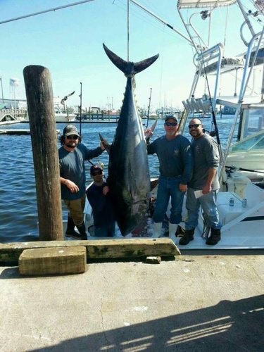 No Quarter Sportfishing is about to get un-wrapped from winter storage. After last years new paint job and refit the boat is in amazing shape. Capt. Kyle Peet needs no introduction for those familiar with the Ocean City, Maryland fishing scene. Luckily there are a few dates left for the Spring/Summer season! 855-504-4895

http://bit.ly/2nbbcO5