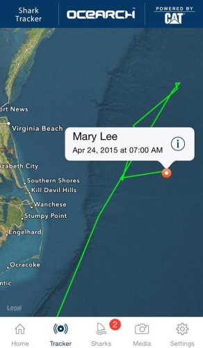 Mary Lee playing off Outer Banks! #GreatWhite #OBX #BiggerBoat #FinandField