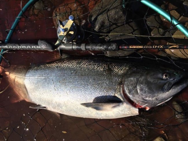 Get excited for the rivers to be back in shape. Hopefully more full fish boxes to come.