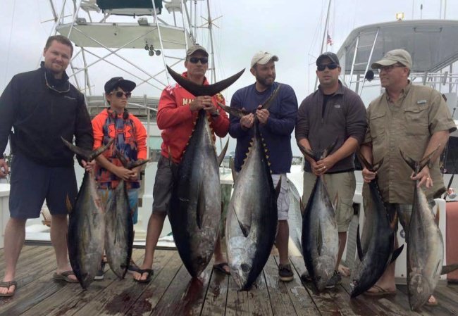 Fishing is heating up in Ocean City, Maryland. Check out the top boats and what OC has to offer at http://bit.ly/1fsGmsP. #Fishing #OceanCity #OCMD #OutdoorLife #FinandField #Adventure