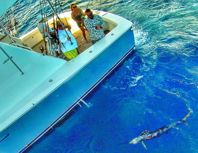 Fly Navarro showing off a tag and release!

#Fishing | #FlyZoneApproved | #FinandField | #TagBrag | #TBF