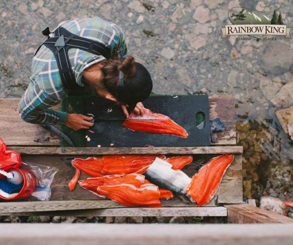 Guest learning to fileting sockeye salmon at the Newhalen River Gorge. #onlyatRKL  
https://goo.gl/zKhsgR