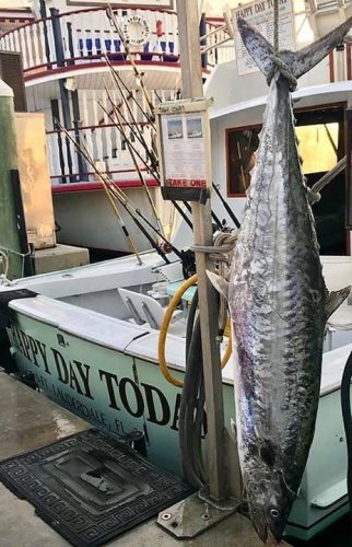 100# King? Potential world record King Mackerel hit the scales at 98.7#! #Fishing #FL #Adventure #FinandField