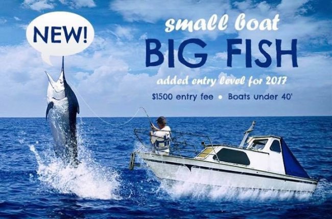 New entry level for the White Marlin Open. Small Boat: Big Fish!

Enter this winner-take-all division and get in on the tournament fishing fun. 

#TournamentFishing | #Fishing | #Adventure