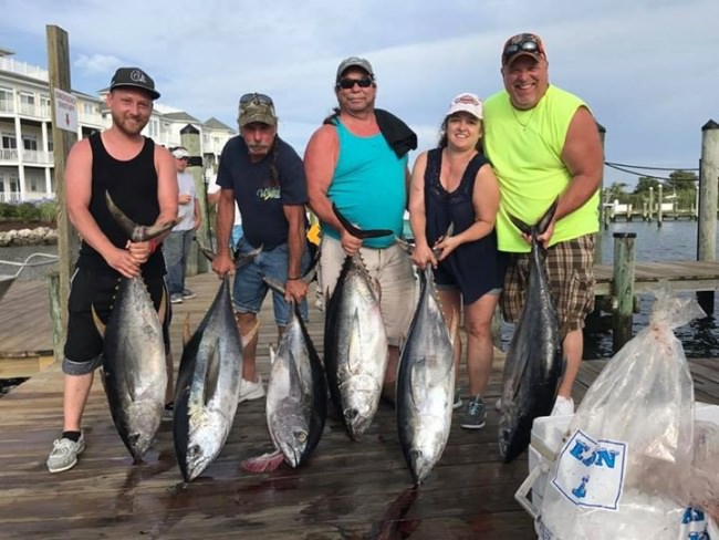 You might recognize Ed "The Beard" from Wicked Tuna: Outer Banks. But his clients on Berzerker Sportfishing recognize him as the captain that put them on the fish in Ocean City, Maryland and helped them make memories that will last a lifetime!

http://bit.ly/2ofY3j0

Book your own Ocean City charter today!

#Fishing | #Adventure | #Tuna | #Mahi | #Wahoo | #Marlin