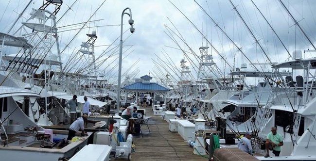 Rigging for big game. #WMO | #FinandField | #OCMD | #PapaWouldBeProud