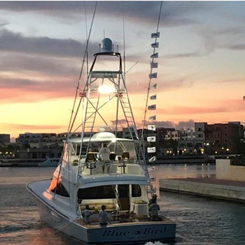 Talk about a fishing adventure!  16 Blue Marlins for the Blue Bird in the DR.

#Fishing | #NewRecord | #Adventure | #FinandField
