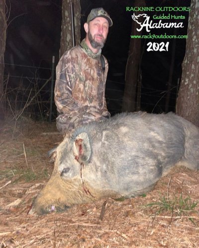 Big Congrats to Shane on his 229lb boar from Racknine Alabama!! Excellent shot placement Shane!!! #alabamahoghunting #hoghunting #racknineoutdoors