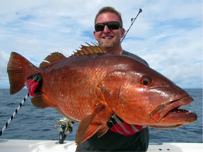 Have you ever hooked a Cubera Snapper? #Fishing #Mustad #Adventures #Panama #FinandField