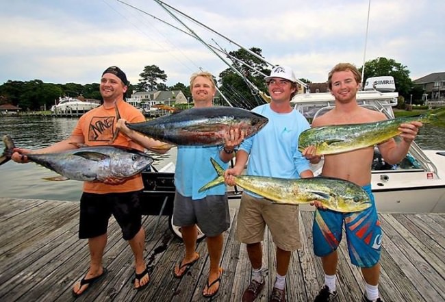 Virginia Beach Tuna Tournament is a chance for all anglers to chase some tournament prize money. Learn more at vbtuna.com. #fishing #finandfield #VA #tuna