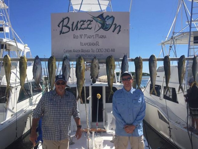 Capt. Aaron and the crew of #BuzzOn continue to find the fish. #Mahi #Tuna #Tripletail #BudnMarys #Islamorada #Fishing

See more photos - http://bit.ly/2dc0NK6