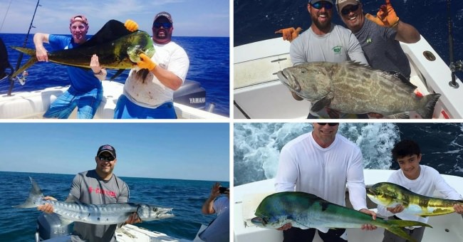 Win a $1000 Fin & Field Islamorada fishing trip!  To Enter - Sign up for FREE on Fin & Field and LIKE this post. 
Click here to enter >> bit.ly/1ZOPhFJ <<

One lucky winner will get to choose a full day fishing adventure from Buzz On or 5 Star Sportfishing.
Winner will be selected on June 15, 2016.

See terms here - bit.ly/24LNBnh