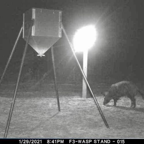 Which one is your favorite? #redblufflodge #schoghunting