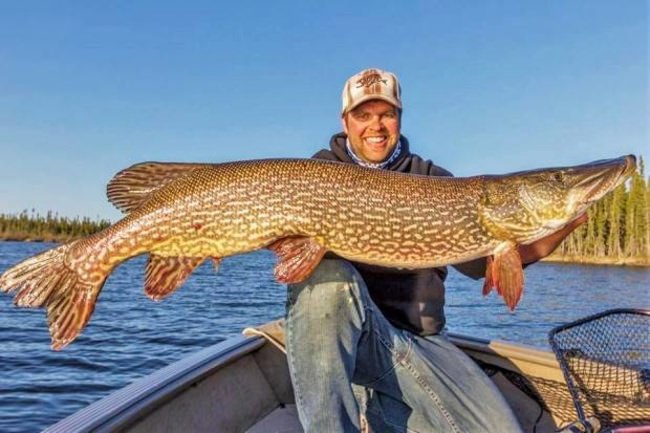 Another happy angler! Book your fishing adventure at www.finandfield.com. #Fishing #Adventure #BookATrip #FinandField