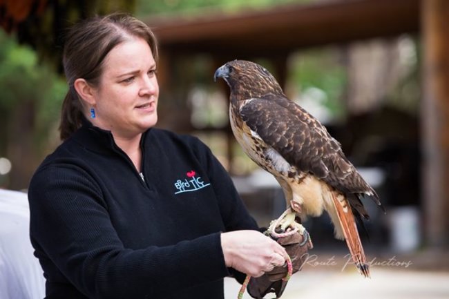 We had a great time and learned so much from our friends at the Bird TLC.  The presentations put on by Patricia and Dave, show casing their birds "Scarlet" the red tailed hawk, and "Ghost" the snowy owl was awesome!  Can't wait to do it again next spring.