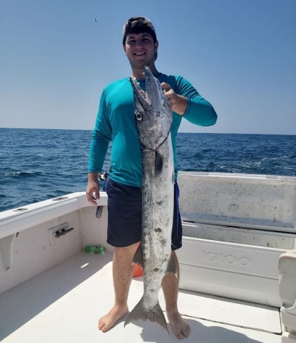 Barracuda! #reeldealsportfishing #reeldeal #sportfishing #fishing #fish #saltaddict #trolling #florida #floridafishing #clearwaterbeach #clearwater #instagood #picoftheday #teamreeldeal #imonaboat #barracuda