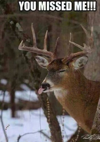 Ever have this happen?
#racknine